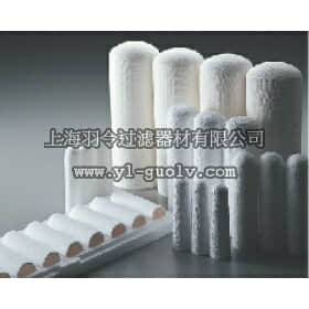 advantec,toyo,东洋,No.89 PTFE纤维滤纸筒 No.89S PTFE/石英纤维滤纸筒,No.89,No.89S