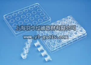 brand,普兰德,782802,BRANDplates Insert嵌套式培养板系统,特制6-孔板结合6排内嵌小室,光滑内壁