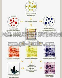 GE,荧光差异凝胶电泳系统 Ettan DI2D,GE-016_TY8303