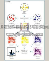 GE,Ettan DI荧光差异双向电泳系统,