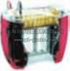 GE,Hoefer SE600 Ruby 标准双向电泳仪,Hoefer SE600 Ruby