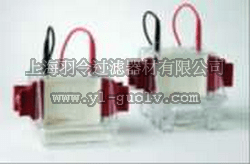 GE,Hoefer SE250/260微型垂直电泳系统,Hoefer SE250/260