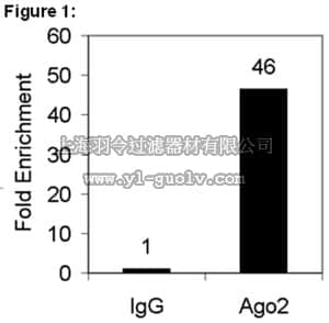 merck millipore,默克密理博,03-110,RIPAb+ Ago2 - RIP Validated Antibody and Primer Set