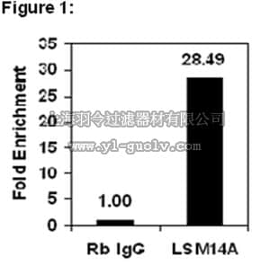 merck millipore,默克密理博,03-184,RIPAb+™ LSM14A - RIP Validated Antibody and Primer Set