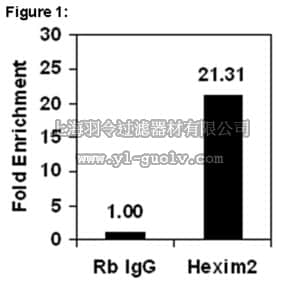 merck millipore,默克密理博,03-245,RIPAb+™ Hexim 2 - RIP Validated Antibody and Primer Set