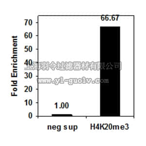 merck millipore,默克密理博,04-079-S,Anti-trimethyl-Histone H4 (Lys20) Antibody, Trial Size, rabbit monoclonal
