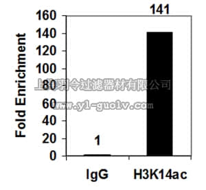 merck millipore,默克密理博,04-1044-S,Anti-acetyl-Histone H3 (Lys14) Antibody, clone EP964Y, Trial Size, rabbit monoclonal