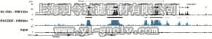 merck millipore,默克密理博,04-1044,Anti-acetyl-Histone H3 (Lys14) Antibody, clone EP964Y, rabbit monoclonal