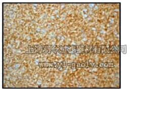 merck millipore,默克密理博,04-1050,Anti-γ-Synuclein Antibody, clone EP1539Y, rabbit monoclonal