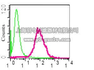 merck millipore,默克密理博,04-1102,Anti-CD45 (CT) Antibody, clone EP322Y, rabbit monoclonal