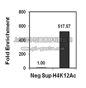 merck millipore,默克密理博,04-119-S,Anti-acetyl-Histone H4 (Lys12) Antibody, Trial Size, rabbit monoclonal