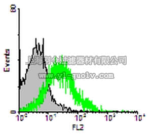 merck millipore,默克密理博,04-1475,Anti-CD27 Antibody, clone RM27-3E5