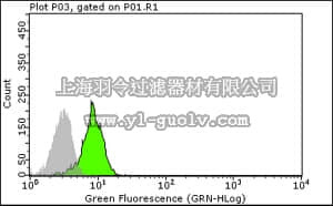 merck millipore,默克密理博,04-147,Anti-ASC Antibody, clone 2EI-7