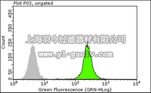 merck millipore,默克密理博,04-1481,Anti-RPA2 p34 Antibody, clone RPA20 1-46