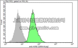 merck millipore,默克密理博,04-150,Anti-AIRE Antibody, clone 5H12
