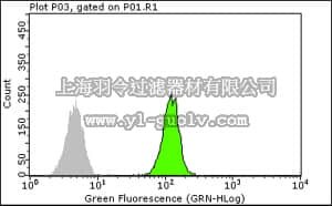 merck millipore,默克密理博,04-1521,Anti-RPA1 p70 Antibody, clone RPA9, 1-30