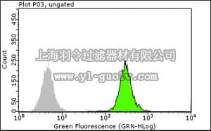 merck millipore,默克密理博,04-1522,Anti-CAF1 p150 Antibody, clone SS1, 1-3