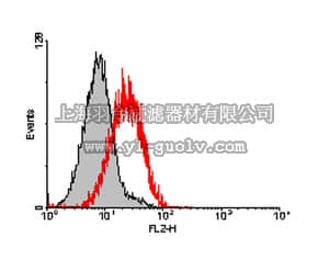 merck millipore,默克密理博,04-1527,Anti-CD86 Antibody, clone PO.3