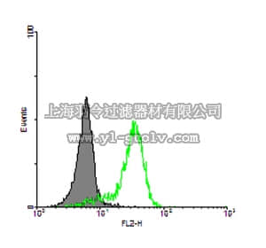 merck millipore,默克密理博,04-1528,Anti-CD86 Antibody, clone IT2.2