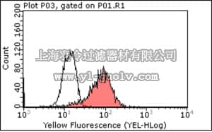 merck millipore,默克密理博,04-1585,Anti-IL-18 Antibody, clone 12E7.1