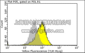 merck millipore,默克密理博,04-244,Anti-phospho-p53 (Ser392) Antibody, clone EP155Y, rabbit monoclonal