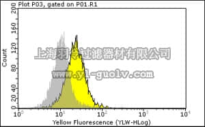 merck millipore,默克密理博,04-282,Anti-phospho-EGFR (Thr654) Antibody, clone 3F2