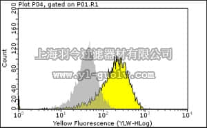 merck millipore,默克密理博,04-283,Anti-phospho-EGFR (Tyr845) Antibody, clone 12A3