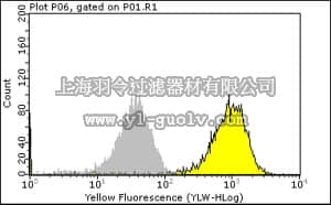 merck millipore,默克密理博,04-334,Anti-phospho-Cbl (Tyr774) Antibody, rabbit monoclonal