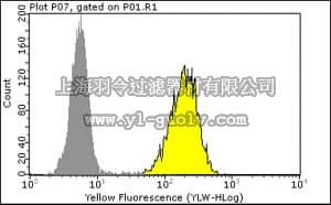 merck millipore,默克密理博,04-338,Anti-EGFR Antibody, rabbit monoclonal