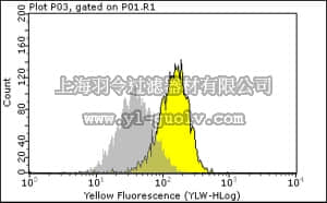 merck millipore,默克密理博,04-341,Anti-phospho-EGFR (Tyr1173) Antibody, rabbit monoclonal