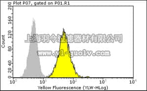 merck millipore,默克密理博,04-409,Anti-PTEN rabbit monoclonal Antibody