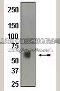 merck millipore,默克密理博,04-452,Anti-TRAF6 (CT) Antibody, rabbit monoclonal