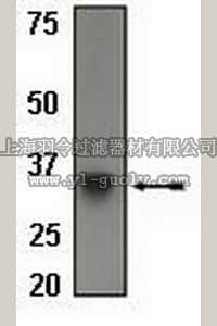 merck millipore,默克密理博,04-455,Anti-CD20 (CT) Antibody, rabbit monoclonal