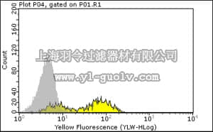 merck millipore,默克密理博,04-458,Anti-phospho CD22 (Tyr822) Antibody, rabbit monoclonal