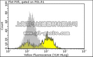 merck millipore,默克密理博,04-459,Anti-phospho CD22 (Tyr842) Antibody, rabbit monoclonal