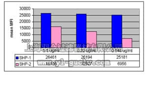 merck millipore,默克密理博,04-742,Anti-SHP-1/2 Antibody, clone NL213, rabbit monoclonal