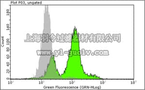 merck millipore,默克密理博,04-789,Anti-phospho-Histone H3 (Thr11) Antibody, clone MC83,04-789