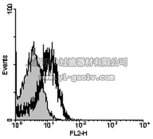 merck millipore,默克密理博,04-973,Anti-CD39 Antibody, clone 5F2
