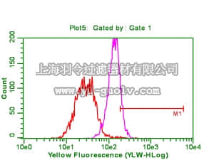 merck millipore,默克密理博,05-1003,Anti-phospho-Akt (Ser473) Antibody, clone 6F5