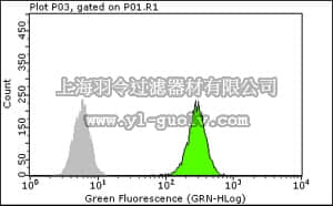 merck millipore,默克密理博,05-1076,Anti-c-Jun Antibody, clone 6E4.4
