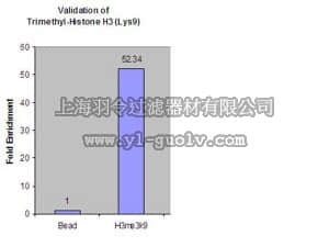 merck millipore,默克密理博,05-1242,Anti-trimethyl-Histone H3 (Lys9) Antibody, clone 6F12-H4