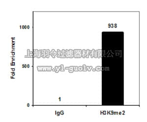 merck millipore,默克密理博,05-1249-S,Anti-Dimethyl Histone H3 (Lys9) Antibody, clone CMA307, Trial Size