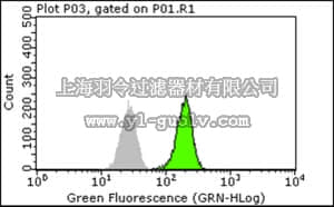 merck millipore,默克密理博,05-1321,Anti-BMI1 Antibody, clone AF27