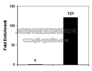 merck millipore,默克密理博,05-1336-S,Anti-phospho-Histone H3 (Ser10) Antibody, clone CMA312, Trial Size