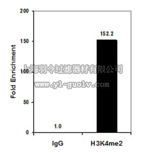 merck millipore,默克密理博,05-1338,Anti-Dimethyl Histone H3 (Lys4) Antibody, clone CMA303