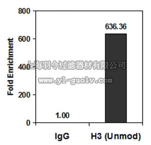 merck millipore,默克密理博,05-1341-S,Anti-Histone H3 Antibody, (Unmodified Lys4), clone CMA301, Trial Size