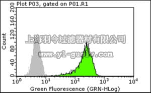 merck millipore,默克密理博,05-1359,Anti-RXR alpha Antibody, clone 4E9