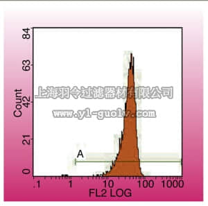 merck millipore,默克密理博,05-1416,Anti-CD45 Antibody, clone IBL-5/25