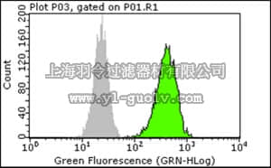 merck millipore,默克密理博,05-1482,Anti-GβL/mLST8 Antibody, clone 3E1.2