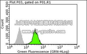 merck millipore,默克密理博,05-1501,Anti-MAD2A Antibody, clone 17D10